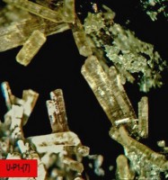 /album/galerie-photos/craoubere-est-p1-epidote-13507-mod5-jpg1/
